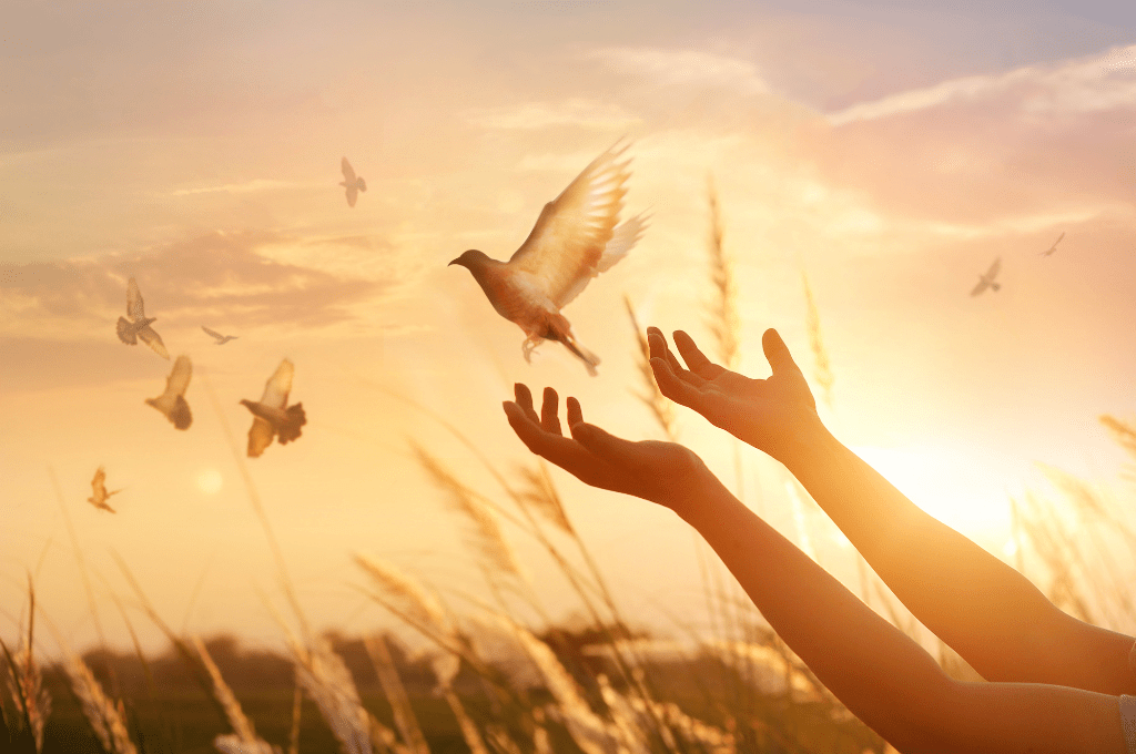 Woman praying and free bird enjoying nature on sunset background Travel Tips Travel Tips for Nepal: Every Visitor Must Know