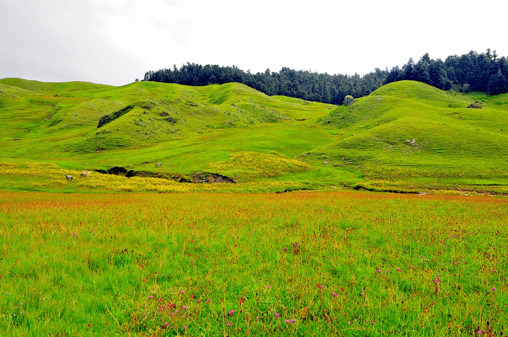 Khaptad National Park in Doti Nepal Snow in the Himlayas Mountains Swiss Alps Beautiful Landscape khaptad Khaptad National Park: A Haven for Nature Lovers and Adventure Seekers