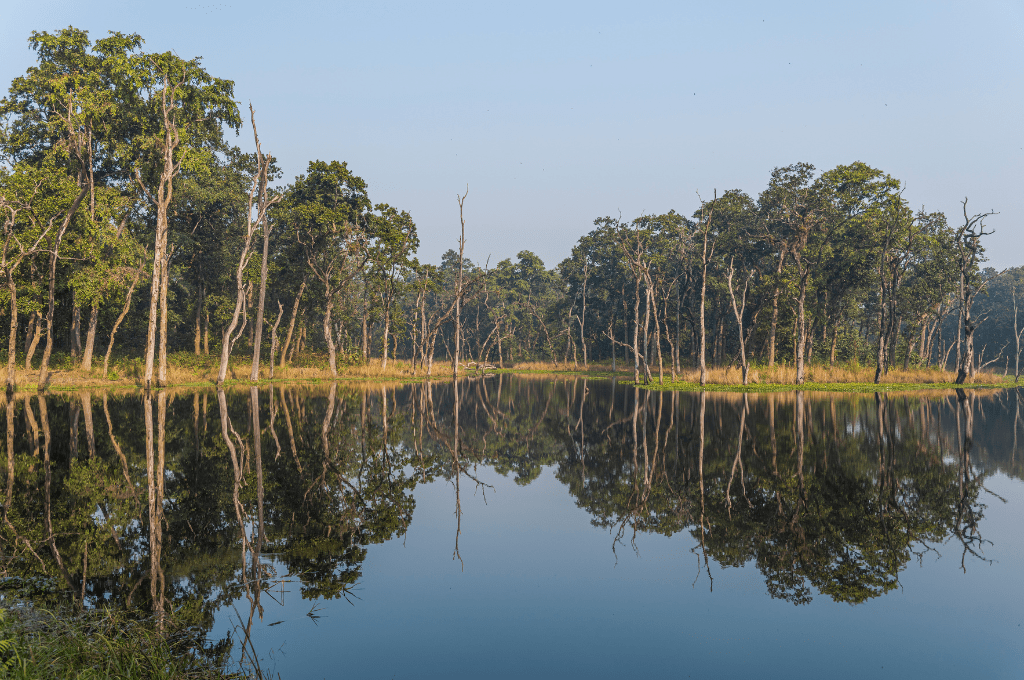 chitwan national park lake chitwan Exploring Chitwan National Park Before Visit Guide